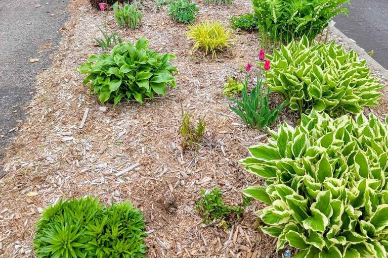 29615079/2034-p-avenue/eastway-gardensindustrial-park/ottawa/ontario/K1G6G7_37