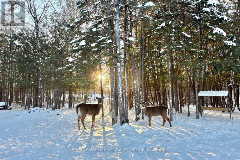 29319261/3311-barlow-crescent/dunrobin-shores/ottawa/ontario/K0A1T0_32