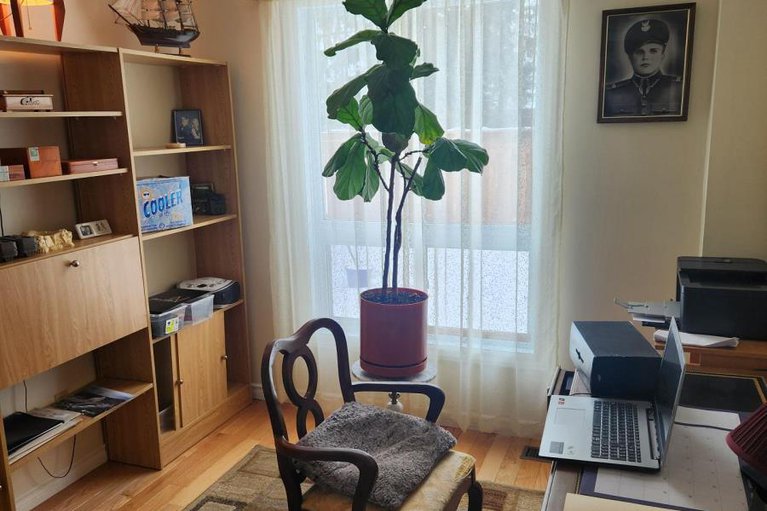 27816739/31-dossetter-way-e/hunt-club-park/ottawa/ontario/K1G4S3_8