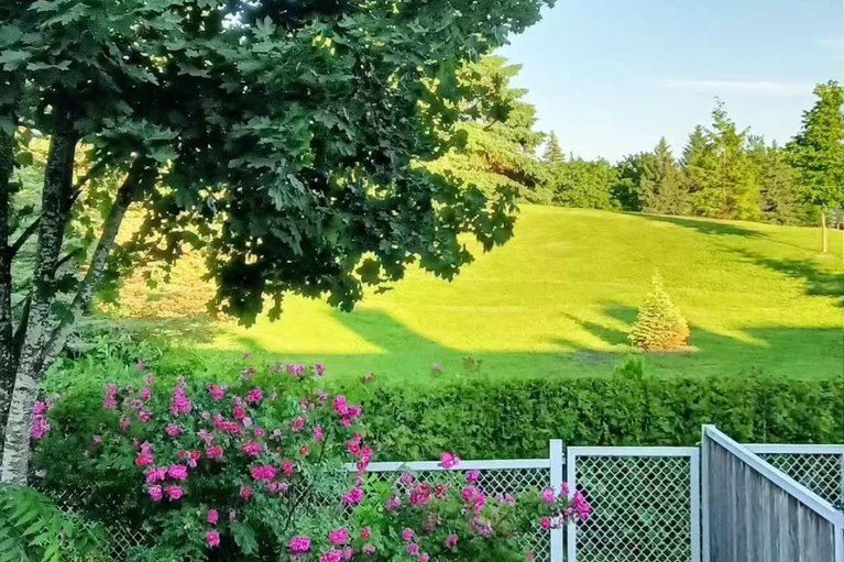 28876719/6134-red-willow-drive/chapel-hill/ottawa/ontario/K1C7J8_37