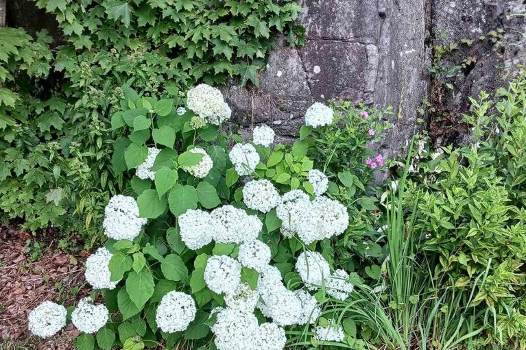 29657921/10-oak-crescent/brockville/brockville/ontario/K6V5R6_37