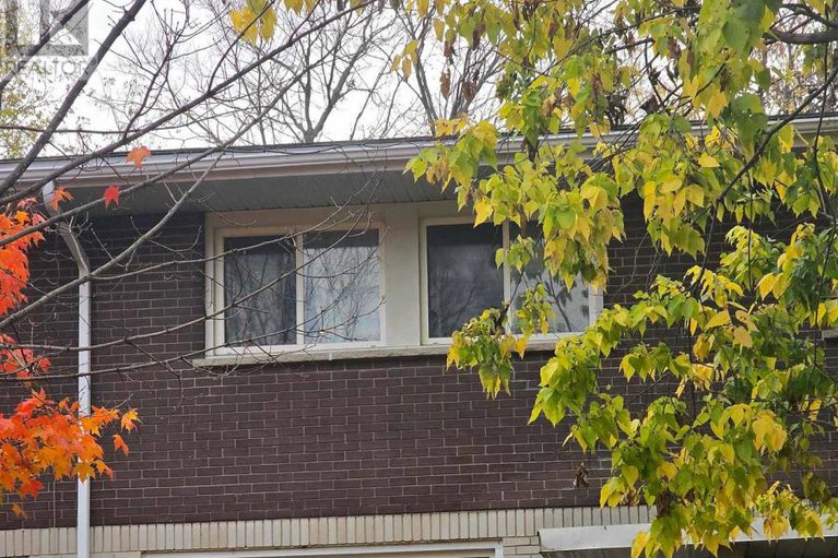 29030671/a-1506-a-lepage-avenue/carlington/ottawa/ontario/K1Z8C9_1