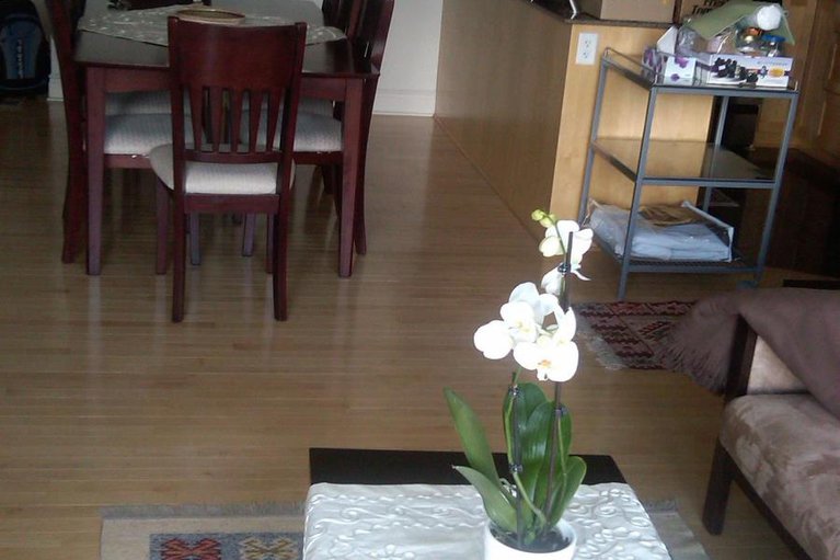 29238372/1603-95-bronson-avenue/ottawa-centre/ottawa/ontario/K1R1E2_21