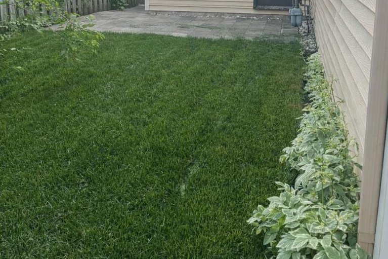 29407130/284-mceachern-crescent/bilberry-creekqueenswood-heights/ottawa/ontario/K1E3K3_25