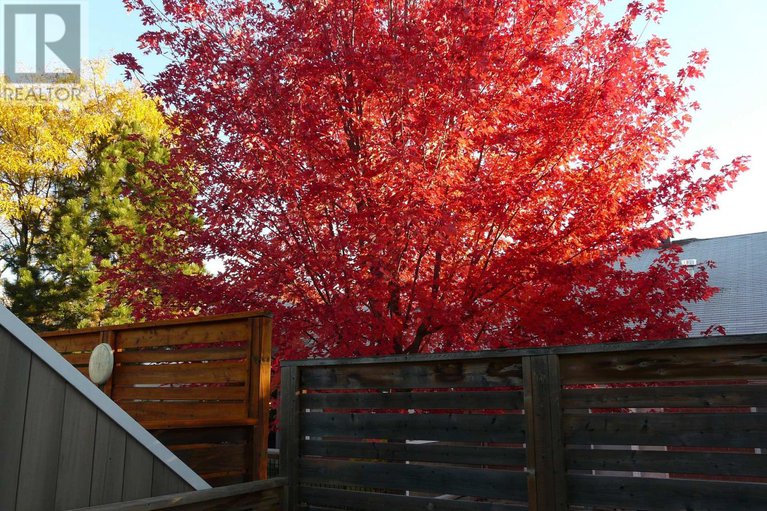 29224356/1172-foxborough-private/beaconwood/ottawa/ontario/K1J1E2_37