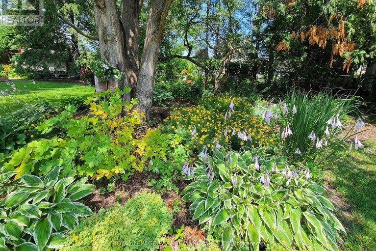 29444506/3864-carp-road/carp/ottawa/ontario/K0A1L0_43