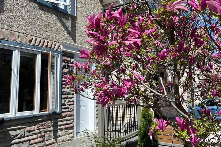 29668148/140-drummond-street/ottawa-east/ottawa/ontario/K1S1K2_4