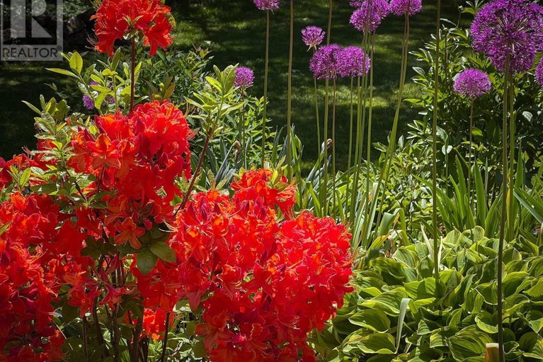 29541337/153-mclaren-drive/drummondnorth-elmsley-north-elmsley-twp/drummondnorth-elmsley/ontario/K7H0H1_47