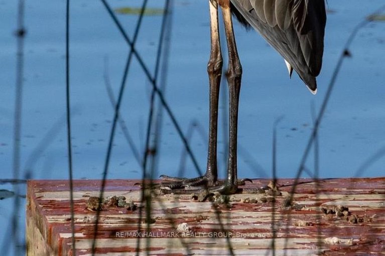 29465872/1236-bayview-drive/constance-bay/ottawa/ontario/K0A3M0_36