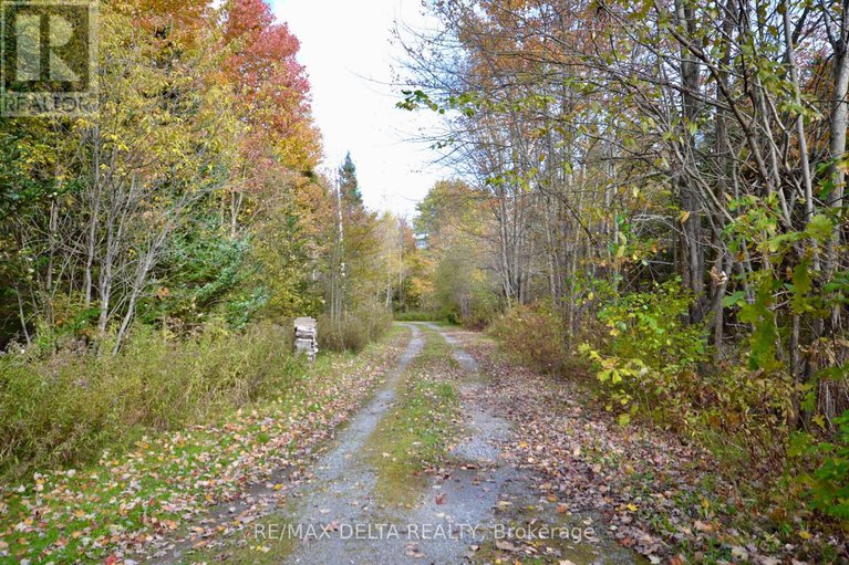 28097892/3888-schnupp-road/clarencerockland-twp/clarence-rockland/ontario/K0A1E0_39