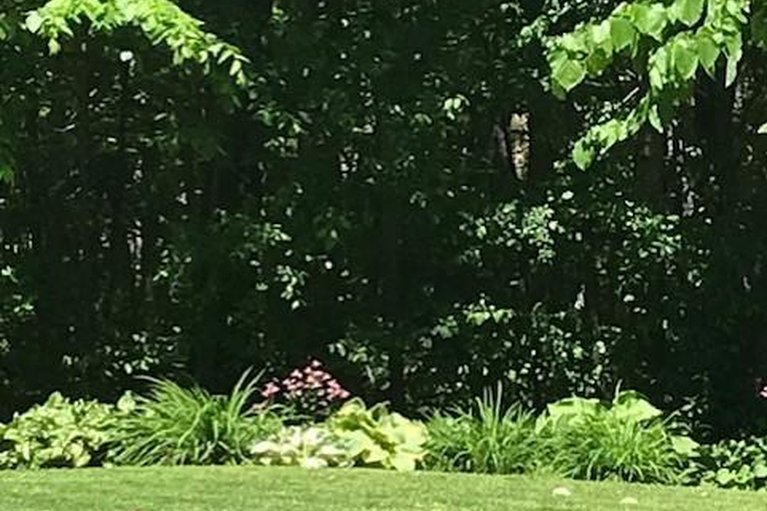 29626147/502-tennyson-road/drummond-n-elmsley-drummond-twp/drummondnorth-elmsley/ontario/K7H3C8_45