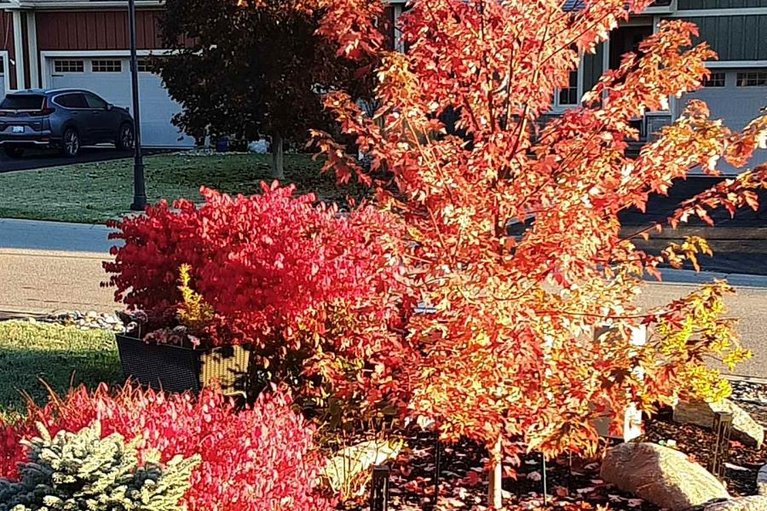 29467531/24-galens-way/kemptville/north-grenville/ontario/K0G1J0_33