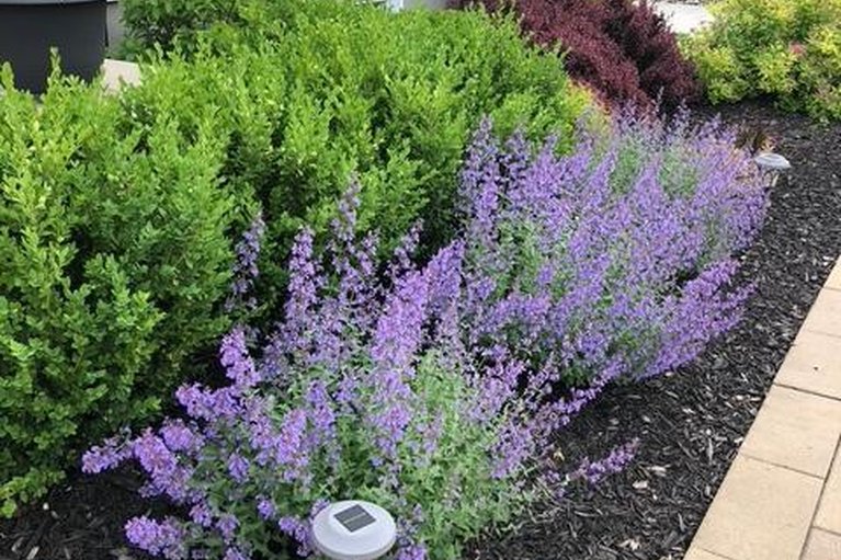 29633975/1828-mickelberry-crescent/notting-hillsummerside/ottawa/ontario/K4A0P2_45