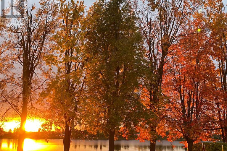 29414466/3710-river-road/north-grenville-twp-kemptville-east/north-grenville/ontario/K4M1B4_48