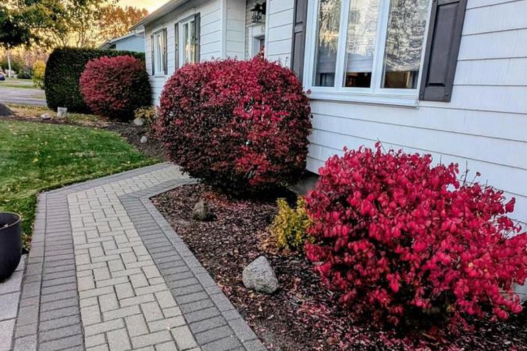 29372947/636-front-road/lorignal/champlain/ontario/K0B1K0_37