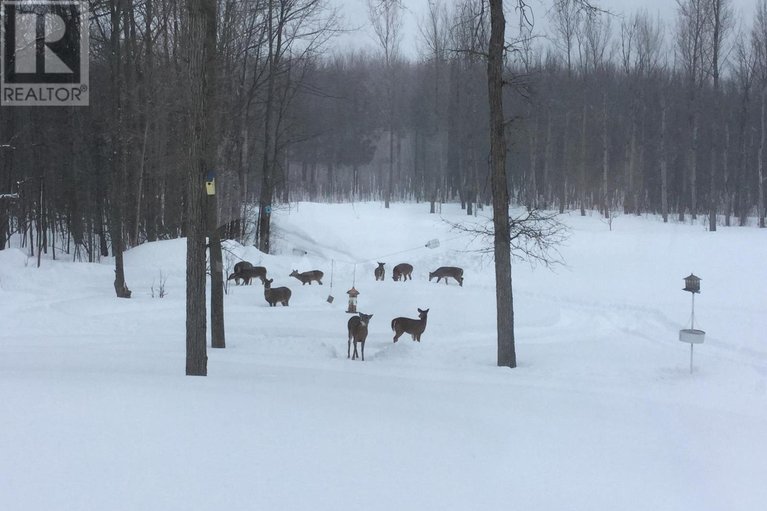 28793859/18668-concession-2-road/north-glengarry-kenyon-twp/north-glengarry/ontario/K0C1B0_48