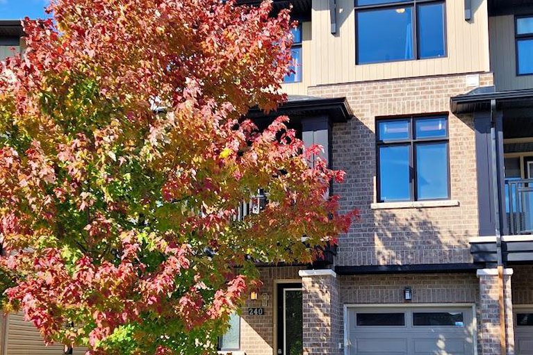 240 Leather Leaf Terrace