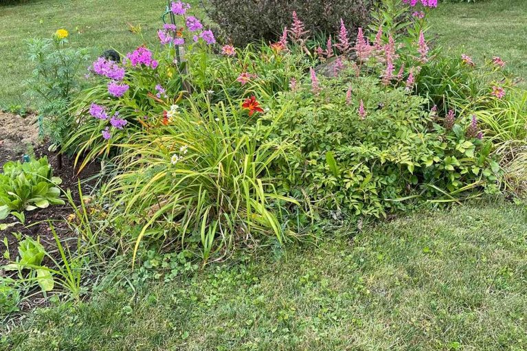 29659900/2370-county-18-road/kemptville/north-grenville/ontario/K0G1J0_37