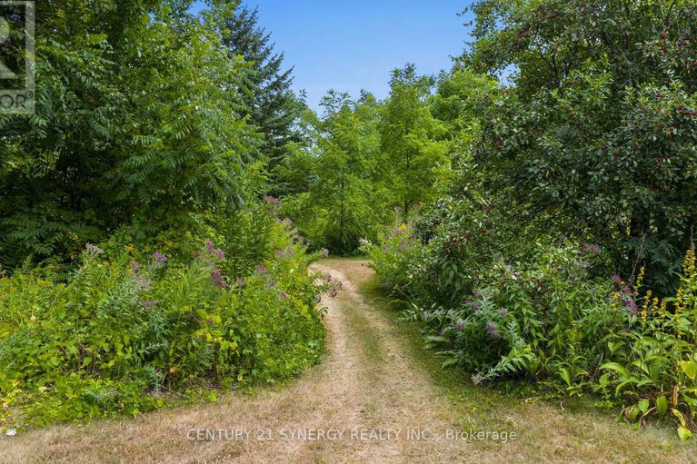 28796758/5984-third-line-road-n/rideau-twp-w-of-hwy-16-north-of-reg-rd-6/ottawa/ontario/K0A2T0_39