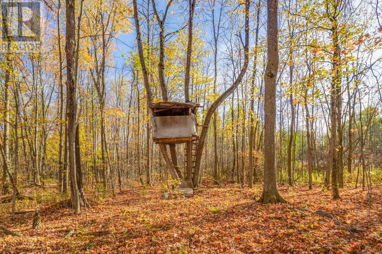 28793859/18668-concession-2-road/north-glengarry-kenyon-twp/north-glengarry/ontario/K0C1B0_39