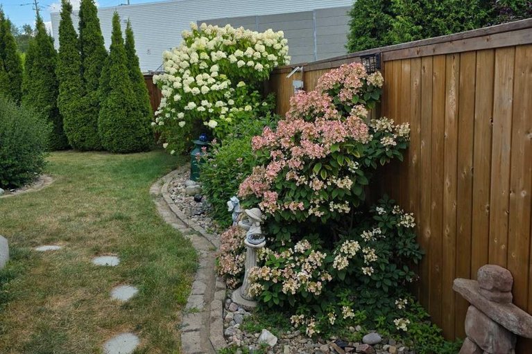 29493272/182-elk-street/renfrew/renfrew/ontario/K7V1A0_27