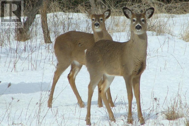 28814220/1556-drummond-conc-10a/drummond-n-elmsley-drummond-twp/drummondnorth-elmsley/ontario/K0G1K0_47