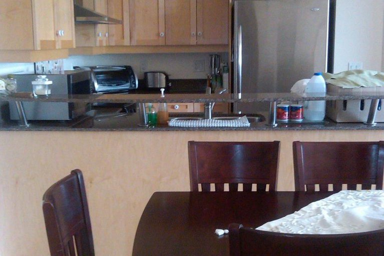 29238372/1603-95-bronson-avenue/ottawa-centre/ottawa/ontario/K1R1E2_8