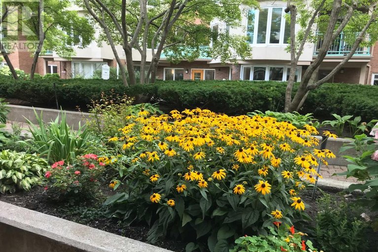 29521537/202a-62-donald-street/overbrook/ottawa/ontario/K1K1N2_29