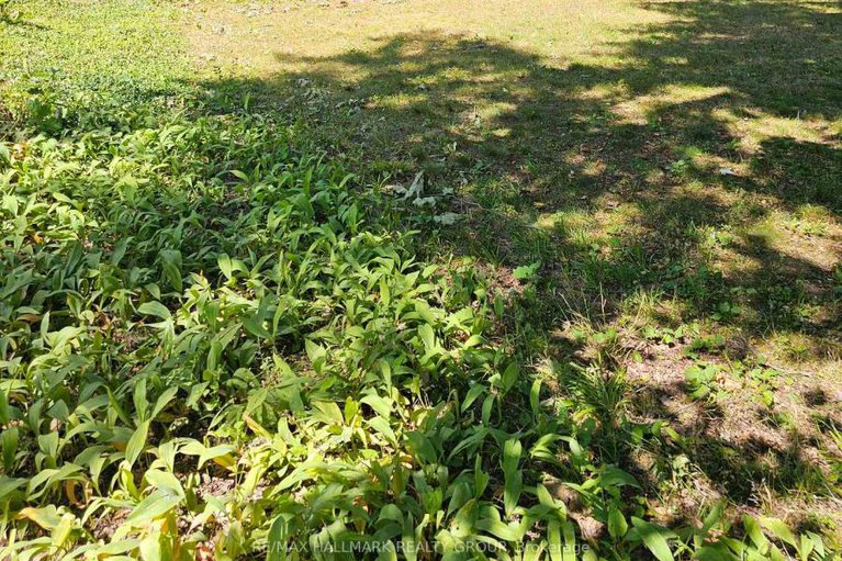 29141806/155-macmillan-lane/constance-bay/ottawa/ontario/K0A3M0_32