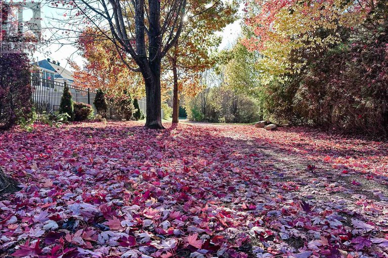 29416525/30-randall-james-drive/stittsville-central/ottawa/ontario/K2S1M4_21