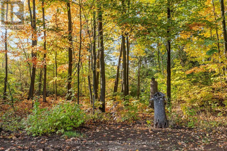 28912451/109-pineridge-road/carp/ottawa/ontario/K0A1L0_41