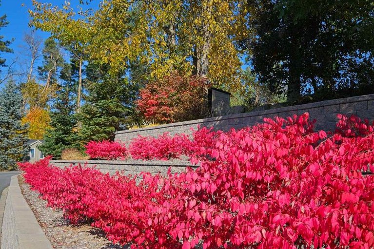 29630814/1-forest-hill-road/long-sault/south-stormont/ontario/K0C1P0_50