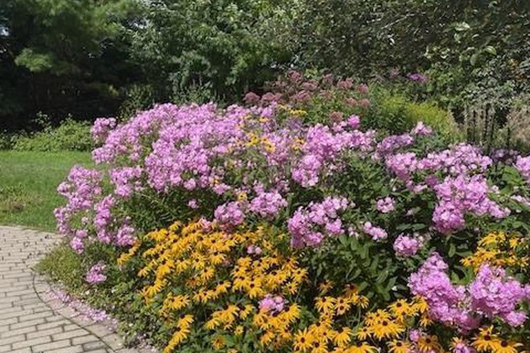 29181079/1752-kilborn-avenue/urbandale-acres/ottawa/ontario/K1H6N2_48