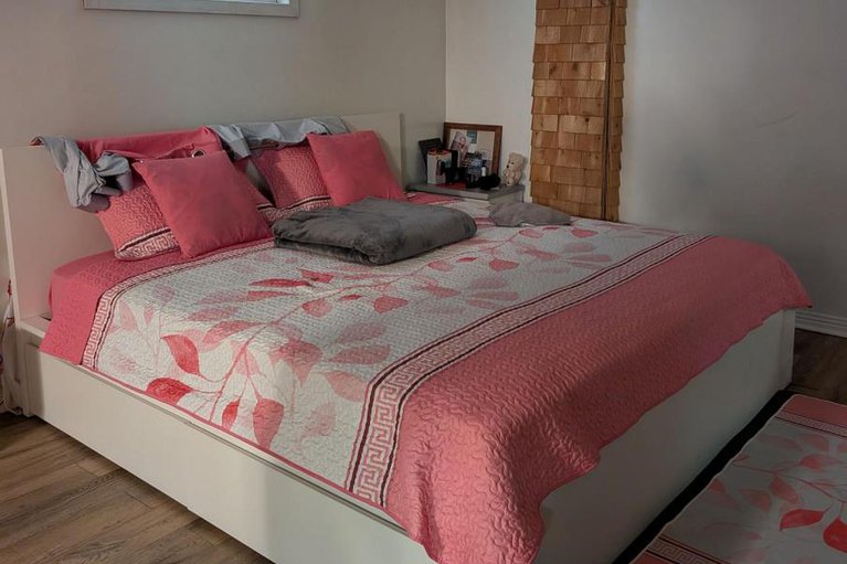 29018995/393-donald-street/overbrookcastle-heights/ottawa/ontario/K1K1M2_17