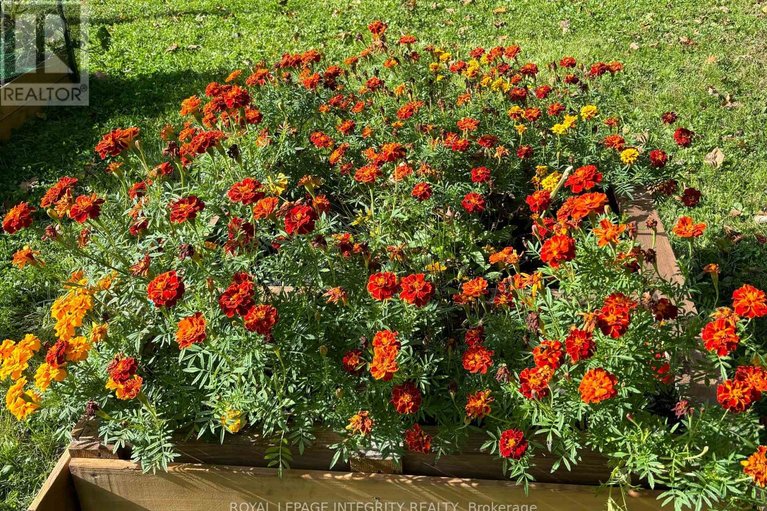 29584602/3976-carp-road/carp/ottawa/ontario/K0A1L0_40