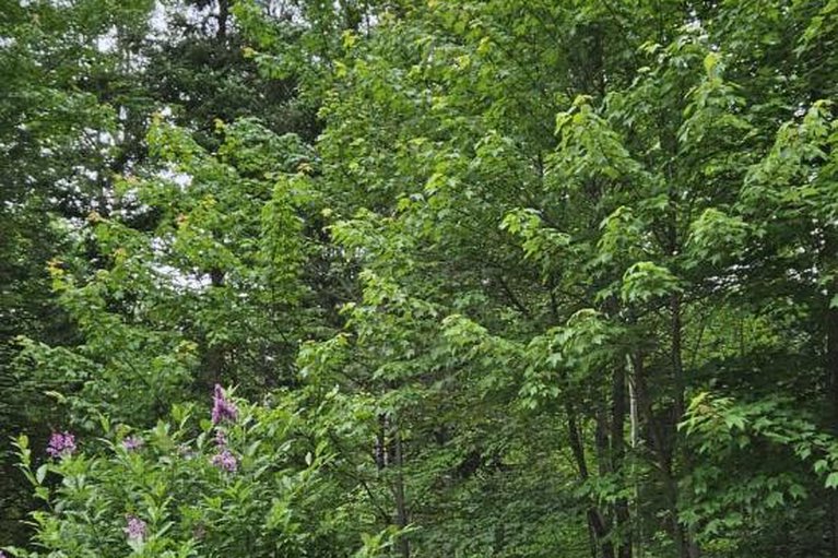 29436856/1576-garden-of-eden-road/horton-twp/horton/ontario/K7V3Z8_42