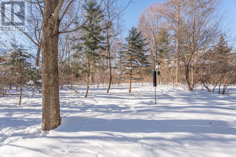 29377754/31-marsh-sparrow-private/morgans-grantsouth-march/ottawa/ontario/K2K3P2_37
