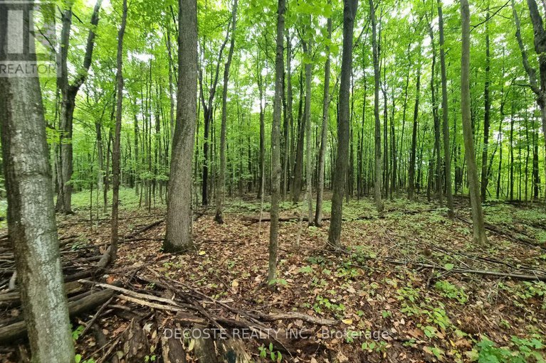 29381988/21950-concession-10-road/south-glengarry-lancaster-twp/south-glengarry/ontario/K0B1H0_46