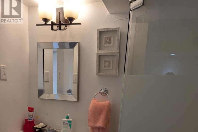 29018995/393-donald-street/overbrookcastle-heights/ottawa/ontario/K1K1M2_19