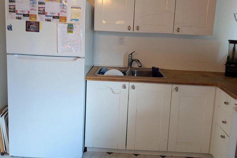 29018995/393-donald-street/overbrookcastle-heights/ottawa/ontario/K1K1M2_7