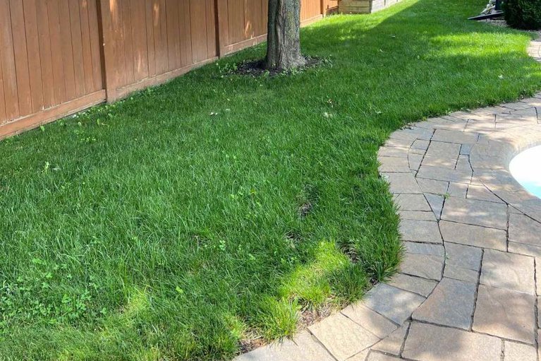 29374830/2224-merlot-way/springridgeeast-village/ottawa/ontario/K4A4S2_42