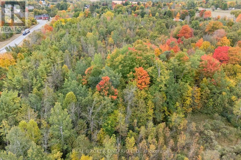 28908184/2099-county-20-road/north-grenville-twp-kemptville-south/north-grenville/ontario/K0G1T0_41