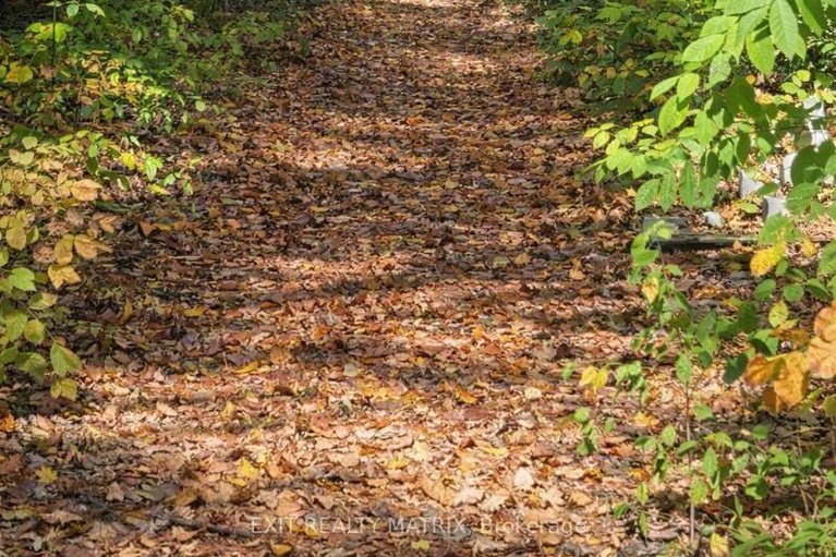 29671730/2191-cassburn-road/champlain-twp/champlain/ontario/K0B1K0_46