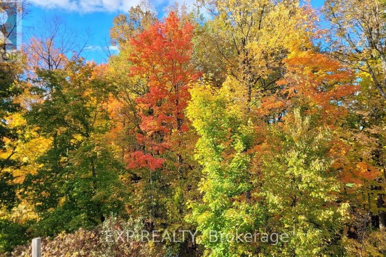 29426960/185-teal-crescent/chatelaine-village/ottawa/ontario/K1E2C3_28