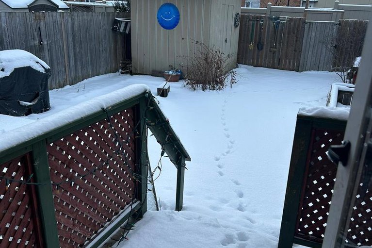 29178453/642-borthwick-avenue/castle-heightsrideau-high/ottawa/ontario/K1K2L9_4