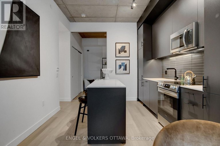 29437309/217-10-james-street/ottawa-centre/ottawa/ontario/K2P1T2_17