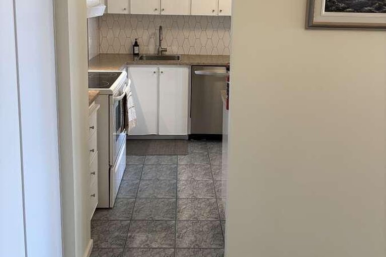 29689051/2005-415-greenview-avenue/britannia/ottawa/ontario/K2B8G5_7