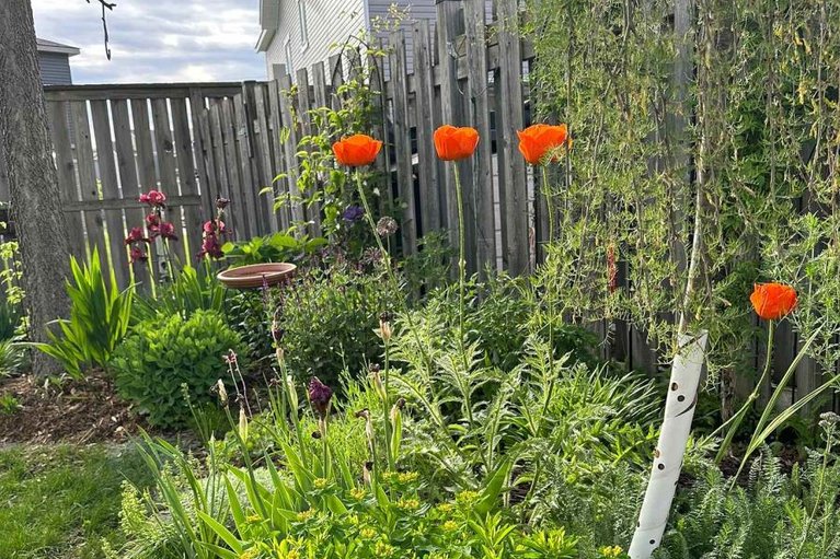 29653715/105-destiny-private/fallingbrookgardenway-south/ottawa/ontario/K4A0K6_34