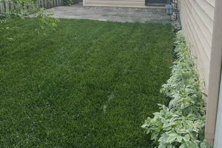 29620278/284-mceachern-crescent/bilberry-creekqueenswood-heights/ottawa/ontario/K1E3K3_22