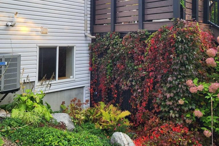 29527722/23-riverbank-court/stittsville-central/ottawa/ontario/K2S1V7_43